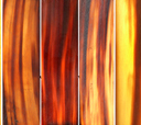 color plates